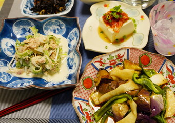 日本の家庭料理　手料理　煮物や焼き魚など白米やお酒に合うおかず