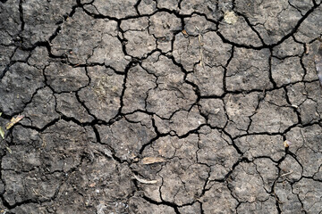dry cracked earth background 