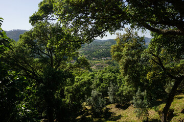 Fototapeta premium Monchique in mountains of Algarve, Portugal
