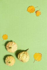 Flat lay autumn composition made of decorative pumpkins and yellow leaves on green color paper background