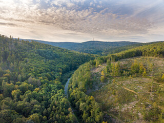Obraz premium Luftaufnahme mit Drohne vom Waldsterben im Taunus durch den Borkenkäfer und Klimawandel in der Nähe von Oberusel, Deutschland Hessen