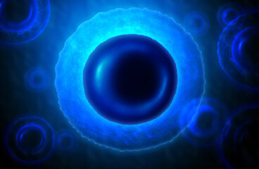 Human Cell anatomy illustration
