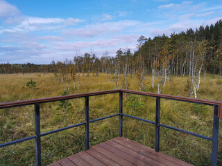 Fototapeta na wymiar An observation deck with a wooden deck over the swamp, with a view of the grass and low trees against a beautiful sky with clouds.