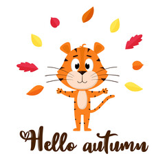 Cute cartoon tiger tosses autumn colorful leaves. A postcard with an adorable character and the words Hello autumn. Color vector illustration isolated on a white background.