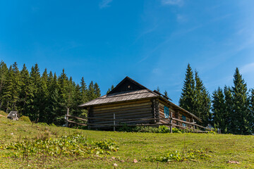 Beautiful landscape of old house in the mountains in rural areas with patrol dog