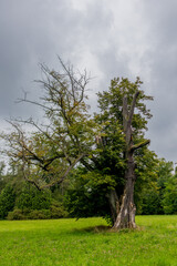 Herbstlicher Spaziergang durch die Klassiker Stadt Weimar und ihren wunderschönen Park an der Ilm - Thüringen