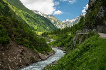 Fotobehang Valley in the Austrian alps in summer on a sunny day © Stefan