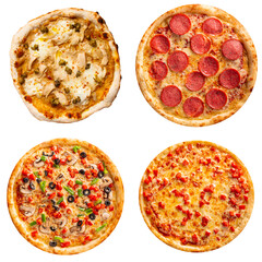 Isolated collage of various types of pizza on white