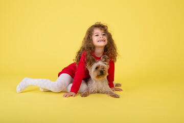 Little girl with a little puppy on a yellow background. Beauty plays with the Yorkie Terrier  like a toy.