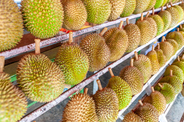 Durian fruit