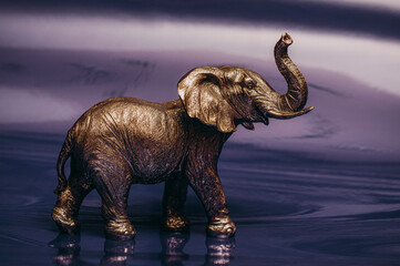 Fototapeta premium elephant in the wild