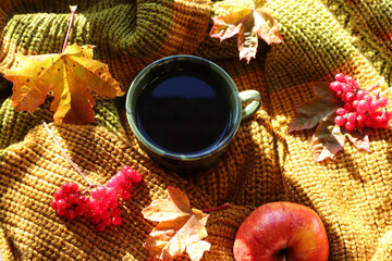 The concept of a cozy autumn. A cup of tea on a knitted sweater, maple leaves, viburnum branches, a red apple, a kind of super