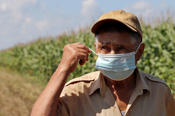 Old farmer removing the protective face mask standing on corn field. Concept of life and work in...