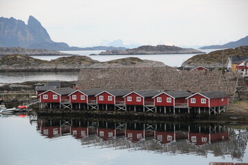 Lofoten