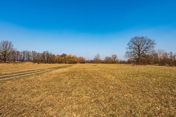 Early springtime CHKO Pooodri in Czech republic with meadow, trees and clear sky