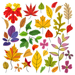 Fototapeta na wymiar Autumn colorful leaves set, isolated on white background. Flat vector illustration.