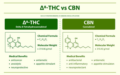 Obraz premium ∆8-THC vs CBN, Delta 8 Tetrahydrocannabinol vs Cannabinol horizontal infographic