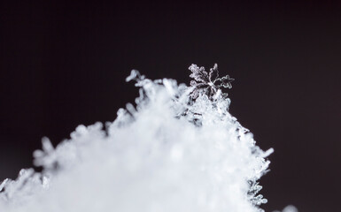Snow in winter close-up. Macro image of snowflakes, winter holiday background. 