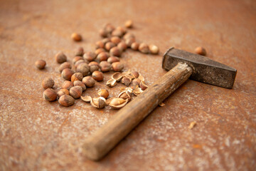 Lot of hazelnuts on rustic plate