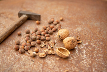 Hazelnuts and walnuts on rustic plate with natural light