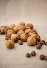 Walnuts and hazelnuts on light textile background