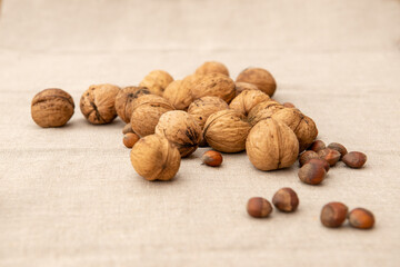 Walnuts and hazelnuts on light textile background