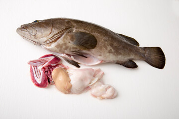 クエ、天然の高級鮮魚、高級食材