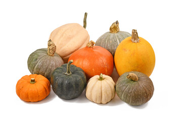 Mix of different colorful pumpkins and squashes on white background