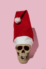 a replica of a human skull with a Santa Claus cap