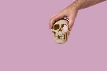 the hand holds a replica of a human skull on a pink background