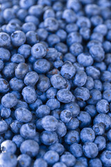 ueberries close up