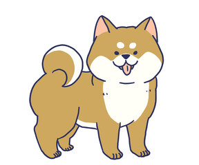 立っているかわいい柴犬