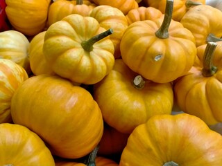 yellow and red pumpkins are displaying in the market