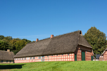 Fototapeta na wymiar Mit Reet gedeckte Bauernkaten in einem Dorf in Schleswig-Holstein