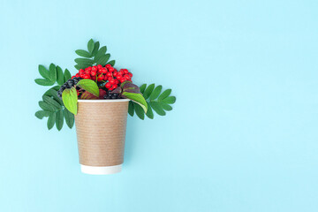 autumn bright red berries and green leaves in a disposable paper cup on blue background with cope space. horizontal flat lay.