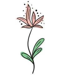 Single beautiful flower line art, vector illustration. Handmade contour image of an elegant blooming flower. Black outline and colored spots, botanical decoration.