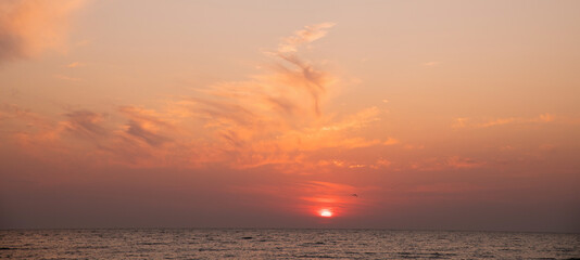 Naklejka premium Red and orange sunset over the Sea. Birds on the background of the morning sky.