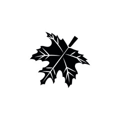 Fototapeta premium Autumn leaves icon vector set. Autumn illustration sign collection. Leaf hat symbol or logo