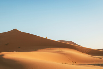 Fototapeta na wymiar A person climbs a huge dune in the Sahara desert