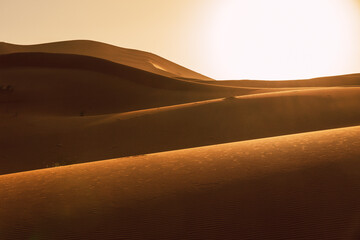 textures in Sahara desert sand at sunset