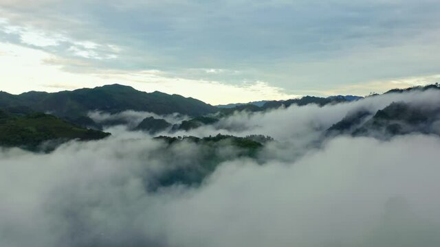 An aerial 4K footage of the Jungle in Alta Verapaz near Lanquin in Guatemala on a foggy day