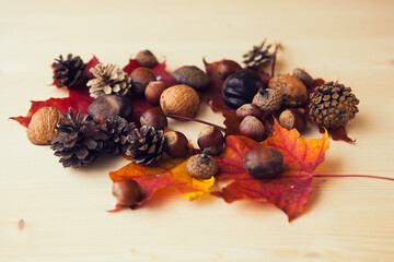 Autumn composition with dried maple leaves, nuts, chestnuts, wallut shells and pine cones on wooden background, flat lay, top view