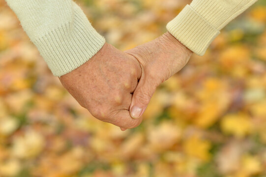 senior couple holding  hands together