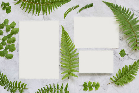 Wedding paper cards and envelope on marble table with fern leaves top view