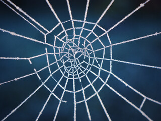 web