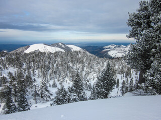 Obraz premium Paysage enneigé de montagne et forêt.