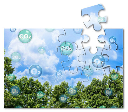Tree canopy against a sky background with oxygen O2 and carbon dioxide CO2 molecules - Carbon dioxide absorption and oxygen release concept in jigsaw puzzle shape