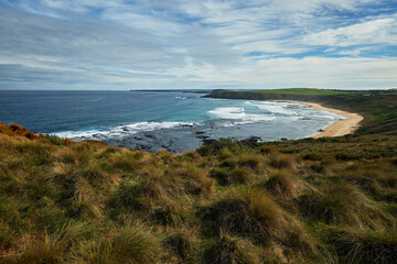 A scenic view overlooking grassy hills with a beautiful sandy beach and rocky coastline in the background, deep blue sea and cloudy sky above, at Phillip Island in Australia