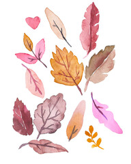 Set autumn leaves in watercolor. Hand-drawn autumn multicolored leaves. Leaves on an isolated background. Illustration of dry leaves in watercolor.