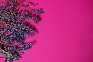 a bouquet of dried lavender flowers in close-up on a colored background. A bouquet of lavender flowers with dried flowers for decoration. top view, lots of empty space
